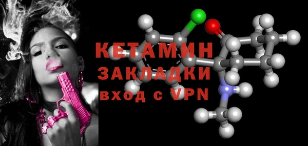 хмурый Аркадак