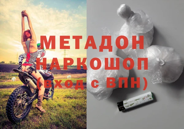 хмурый Аркадак