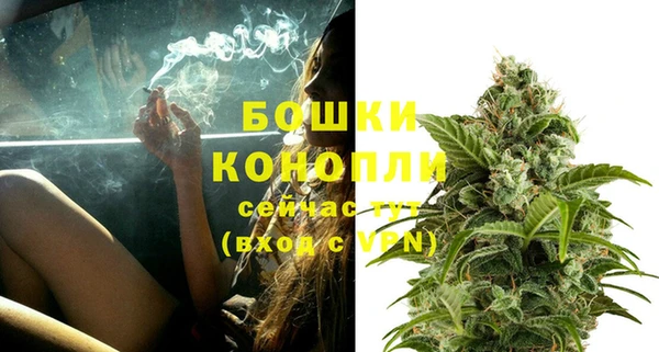 PSILOCYBIN Арсеньев