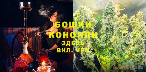 хмурый Аркадак